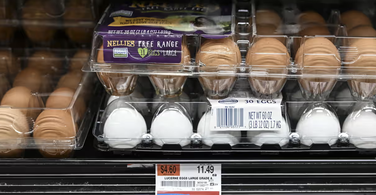 美国闹蛋荒！鸡蛋价格飙升至历史新高！专家警告：未来还会继续涨！